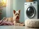 hundehaare-effektiv-entfernen-tipps-fuer-ihre-waschmaschine